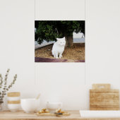 Poster Chat qui fait caca (Cuisine)