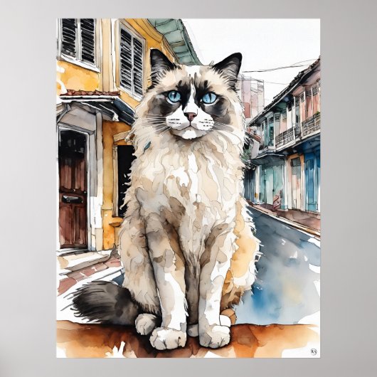 Poster Chat Ragdoll - Art Chat Imprimer (Devant)