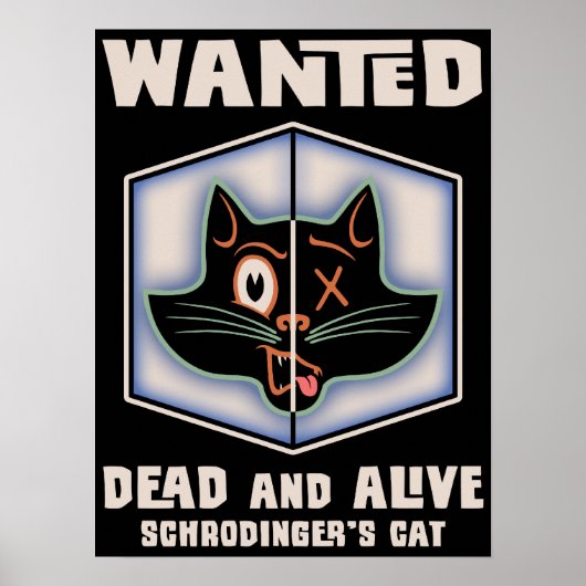 Poster Chat Recherché de Schrodinger (Devant)