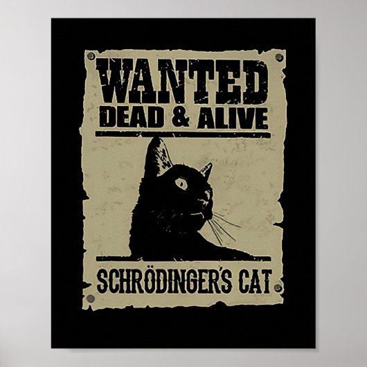 Poster Chat Recherché mort et vivant de Schrodinger (Devant)