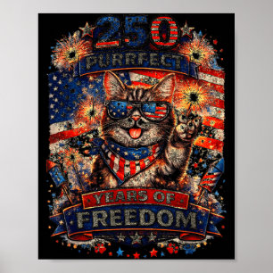Poster Chat Rétro Cool 250 Ans Patriotique Américain