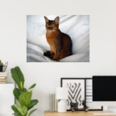 Poster Chat Ruddy Abyssinian (Bureau à domicile)