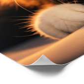 Poster chat sage (Coin)