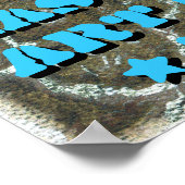 Poster Chat Sage avec Lunettes Amusantes (Coin)