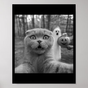 Poster chat Scottish fold selfie fantôme trick or treater