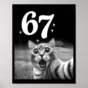 Poster Chat selfie avec 67 mème chats drôles graphique po