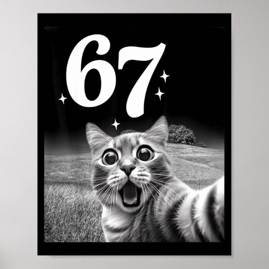 Poster Chat selfie avec 67 mème chats drôles graphique po (Devant)