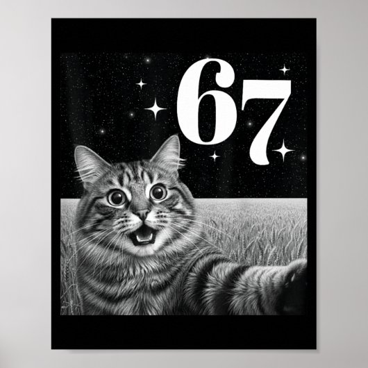 Poster Chat selfie avec 67 mème chats drôles graphique po (Devant)
