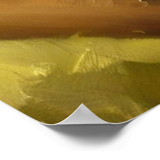 Poster Chat Shorthair (Coin)