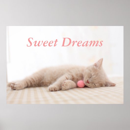 Poster Chat Shorthair (Devant)