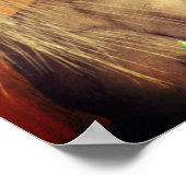 Poster Chat Siamois Posé Avec Fleurs (Coin)