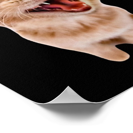 Poster Chat Silencieux avec casque (Coin)