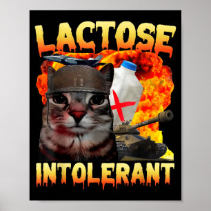 Poster Chat Silly Intolérant au Lactose Citation Drôle Mi