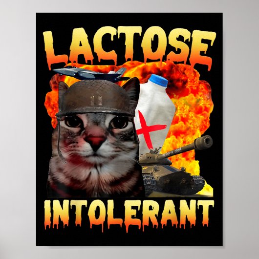 Poster Chat Silly Intolérant au Lactose Citation Drôle Mi (Devant)