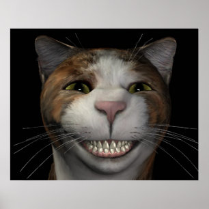 Poster Chat souriant