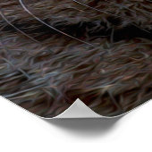 Poster Chat spatial (Coin)