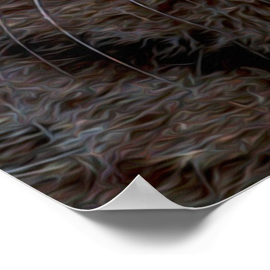 Poster Chat spatial (Coin)