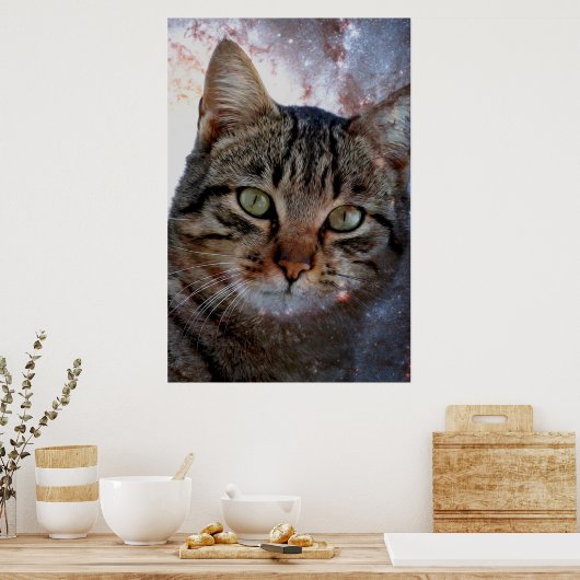 Poster Chat spatial (Cuisine)