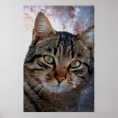 Poster Chat spatial (Devant)