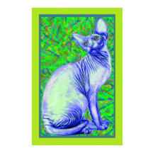 chat sphynx