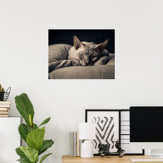 Poster Chat Sphynx (Bureau à domicile)