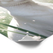 Poster Chat Sphynx blanc et fleurs (Coin)