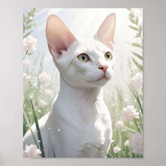 Poster Chat Sphynx blanc et fleurs (Devant)