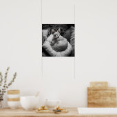 Poster Chat Sphynx sans cheveux (Cuisine)