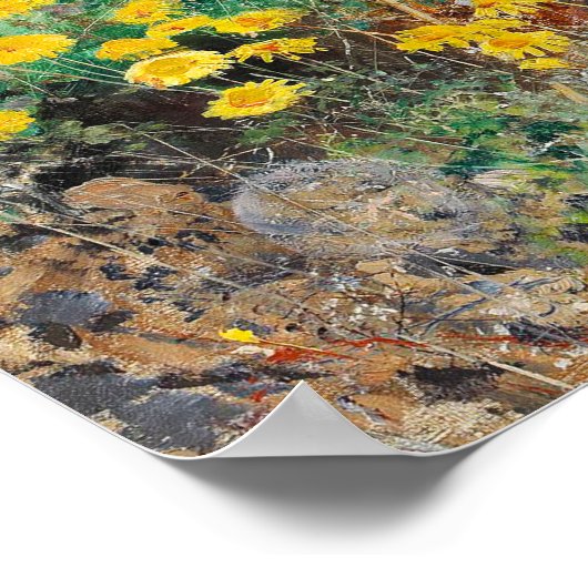 Poster Chat sur Flowbed (Coin)