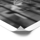 Poster Chat sur la haie à observer les oiseaux (Coin)