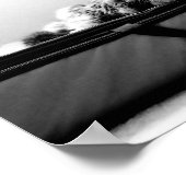 Poster Chat sur sac (Coin)