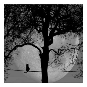 Poster Chat sur une Pleine lune de fil