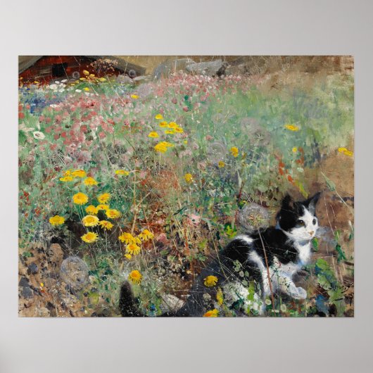 Poster Chat sur une prairie fleurie, Bruno Liljefors (Devant)