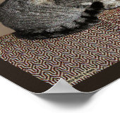 Poster Chat Tabby Gris Fumé (Coin)