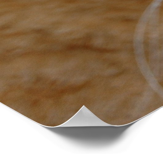 Poster Chat Tabby Orange (Coin)