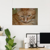 Poster Chat Tabby Orange (Bureau à domicile)