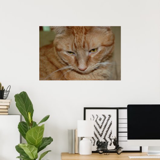 Poster Chat Tabby Orange (Bureau à domicile)
