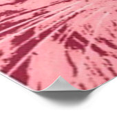 Poster Chat Tabby Orange (Coin)