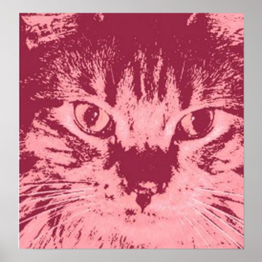 Poster Chat Tabby Orange (Devant)