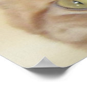 Poster Chat Tabby Orange (Coin)