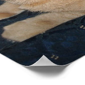 Poster Chat Tabby Orange (Coin)