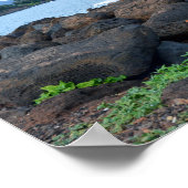 Poster Chat Tabby Orange, Kauai, Hawaï (Coin)