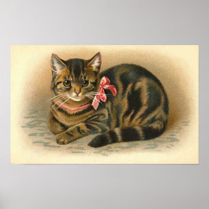 Poster "Chat tigré "