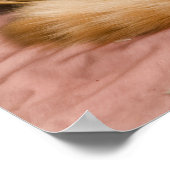 Poster Chat tigré orange dormant dans un panier (Coin)