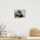 Poster Chat tigré près d'une fenêtre (Cuisine)