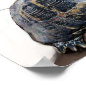 POSTER CHAT, TORTUE ET BASKETBALL (Coin)