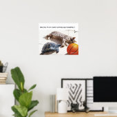 POSTER CHAT, TORTUE ET BASKETBALL (Bureau à domicile)