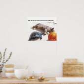 POSTER CHAT, TORTUE ET BASKETBALL (Cuisine)