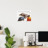 POSTER CHAT, TORTUE ET BASKETBALL (Bureau à domicile)