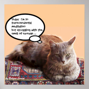POSTER CHAT TURC EN MÉDITATION TRANSCENDANTALE